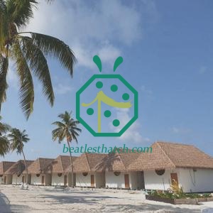 Fake Thatch Roof Kiribati