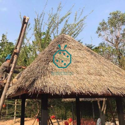 10 Years Warranty Synthetic Anahaw Thatch Roofing for Beach Diving Centers