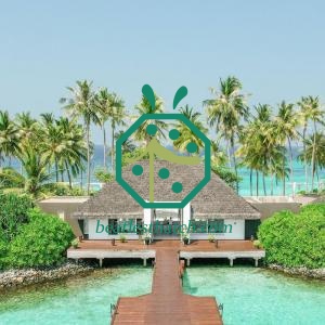 การออกแบบหลังคามุงจากสังเคราะห์ Palapa