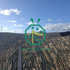 Malaysia Fireproof Artificial Palm Tree Thatched Roof Designs