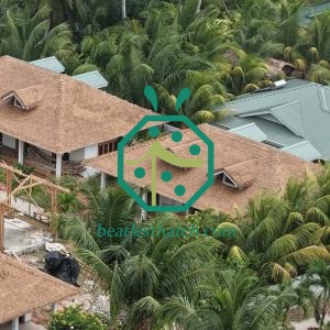 Compound Antioxidant Additives PVC Prefab House Thatch Roof Tiles Seychelles