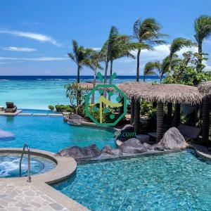 Island Country Tropical Style Artificial Thatch Roofing Material
