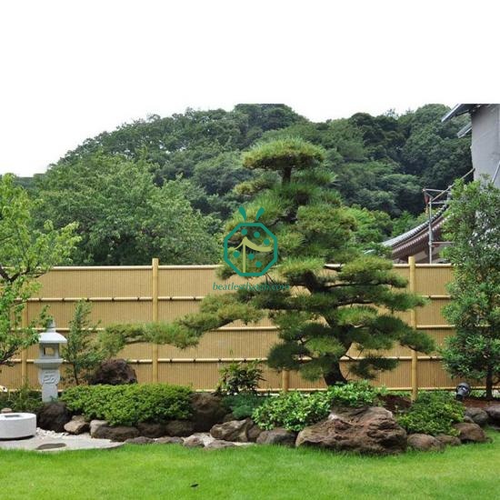 Simulated Bamboo Stick Fence for The Construction of Rural Roads