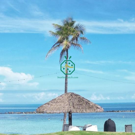 Fireproof Artificial Thatch For Palapa Roof Replacement Construction in USA