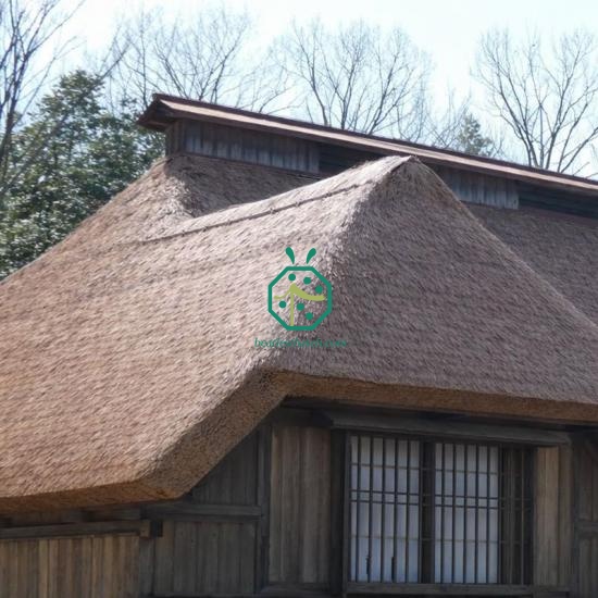 Artificial Japanese pampas grass thatch roofing materials