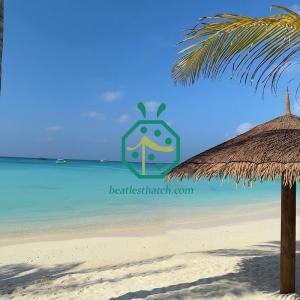 Artificial thatch roof covering Hawaii