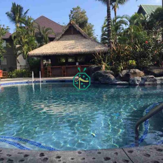 Tourism Hotel Pavilion Synthetic Thatch Roofing for Sale Senegal