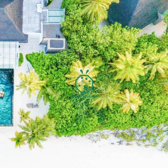 Artificial thatch roofing material Germany