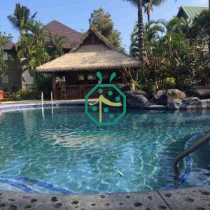 Tropical Artificial Palapa Thatch Roof For Sale
