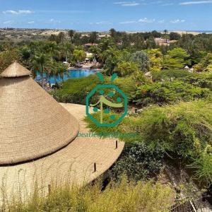Nature-Themed Faux Reed Thatch for Cote d'Ivoire Safari Lodges
