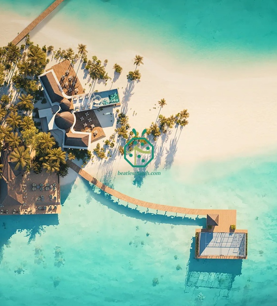 การตกแต่งหลังคาเลียนแบบหลังคาฟางแบบแคดจัน สำหรับศาลาต้อนรับในมัลดีฟส์