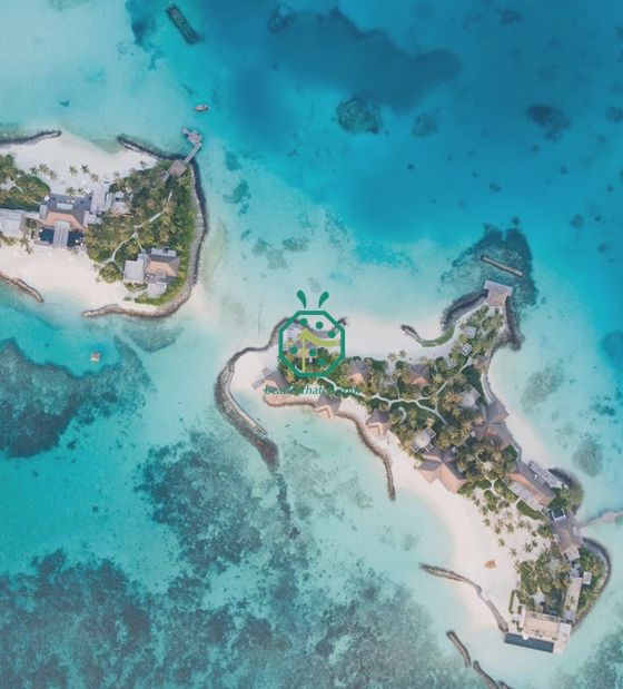 Maldives Resort Hotel Chooses High-Standard Artificial Cadjan Thatch Tiles for Water Villa Bungalow Project