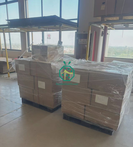 การจัดส่งหลังคาไฟเบอร์และฉากกั้นความเป็นส่วนตัวบนเกาะเซเชลส์