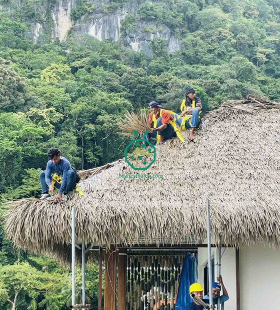 การก่อสร้างหลังคามุงจาก Nipa Hut ที่ทนไฟในฟิลิปปินส์